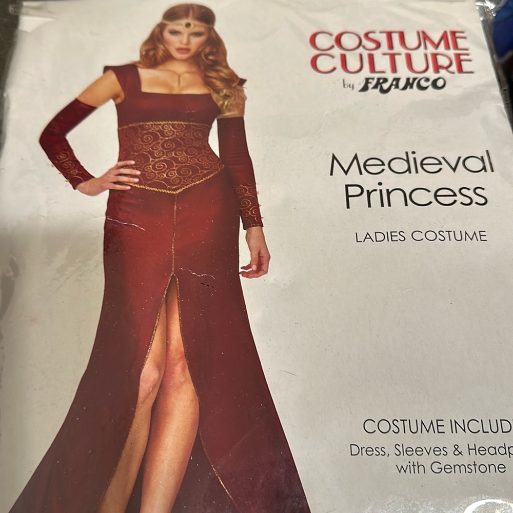 Medieval Princess Ladies Costume